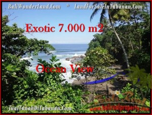 Exotic TABANAN BALI 7,000 m2 LAND FOR SALE TJTB200