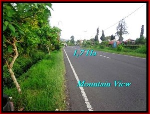 Magnificent LAND FOR SALE IN TABANAN TJTB191