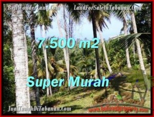 Magnificent PROPERTY 7,500 m2 LAND SALE IN TABANAN BALI TJTB207