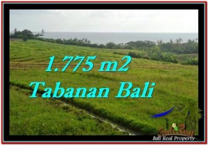 Exotic Tabanan Selemadeg BALI LAND FOR SALE TJTB251