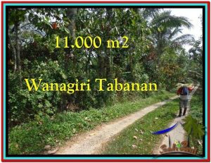 Beautiful LAND IN TABANAN FOR SALE TJTB213
