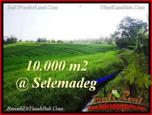 Exotic PROPERTY Tabanan Selemadeg 10,000 m2 LAND FOR SALE TJTB217