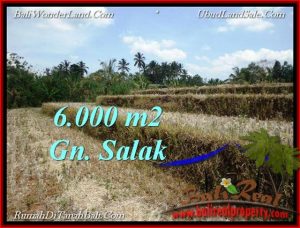 6,000 m2 LAND IN TABANAN BALI FOR SALE TJTB221