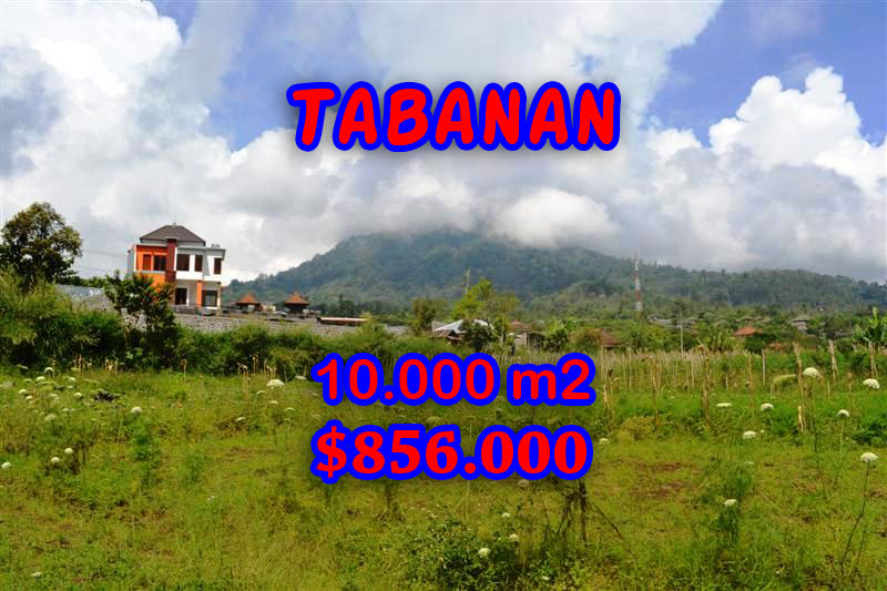 Property for sale in Tabanan land