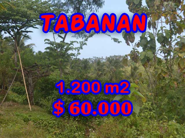LAND IN TABANAN FOR SALE