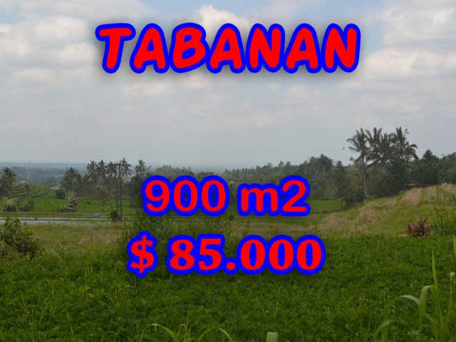 LAND SALE IN TABANAN