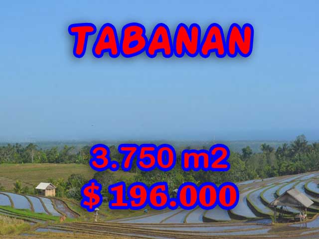 LAND IN TABANAN BALI FOR SALE