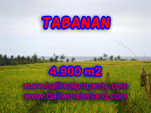 Tabanan Land for sale