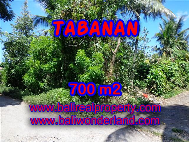 Property sale in Bali, Beautiful land in Tabanan for sale – TJTB107