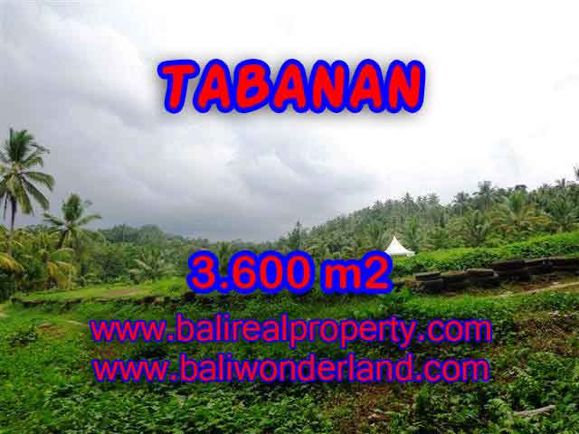 Exceptional Property in Bali, land for sale in Tabanan Bali – TJTB117