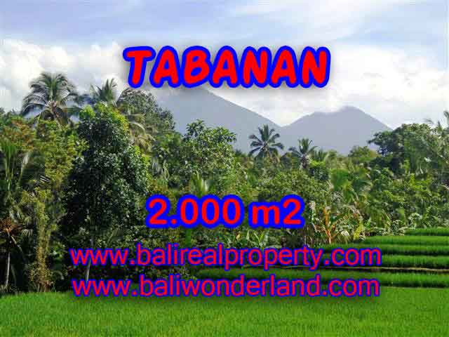 Land in Tabanan Bali for sale, Exotic view in Tabanan Penebel – TJTB121