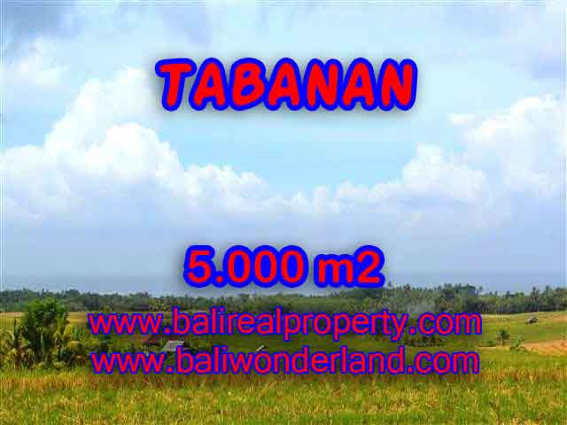 Land for sale in Tabanan Bali, Magnificent view in Tabanan Selemadeg – TJTB124
