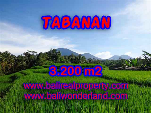 Magnificent Property for sale in Bali, land for sale in Tabanan Bali – TJTB118