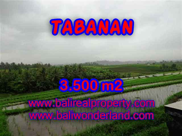 Land in Bali for sale, astounding view in Tabanan Bali – TJTB141