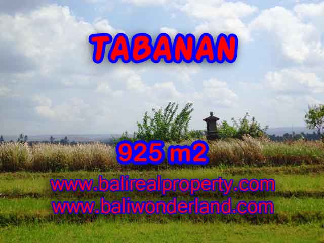 Land for sale in Tabanan, Magnificent view in Tabanan selemadeg Bali – TJTB135