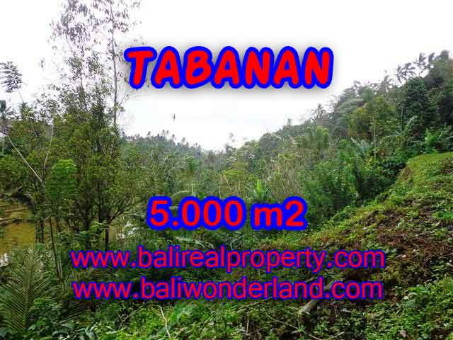 Land for sale in Bali, amazing view in Tabanan selemadeg – TJTB139