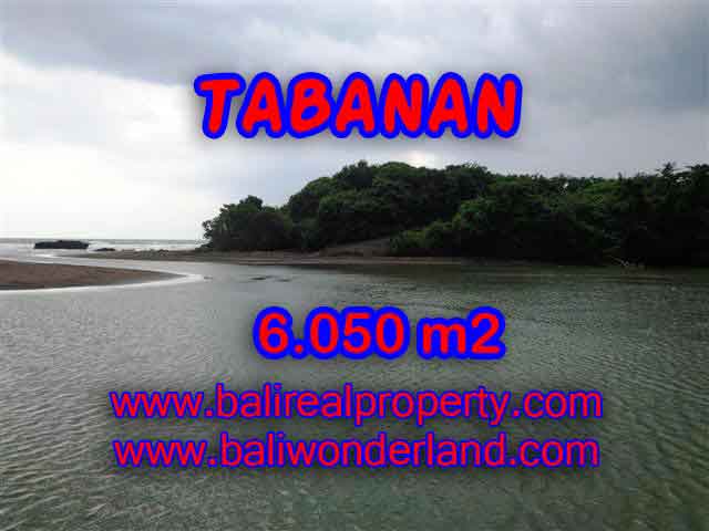 Beautiful Land for sale in Bali, rice fields, beach, and river view in Tabanan Bali – TJTB098