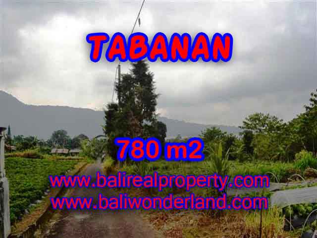 Outstanding Property for sale in Bali, land for sale in Tabanan Bali – TJTB100