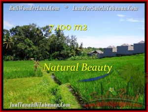 FOR SALE Magnificent LAND IN Tabanan Tanah Lot BALI TJTB197
