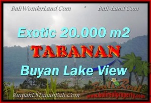 Beautiful PROPERTY LAND IN TABANAN FOR SALE TJTB163
