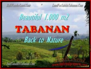 Magnificent PROPERTY LAND FOR SALE IN TABANAN TJTB155