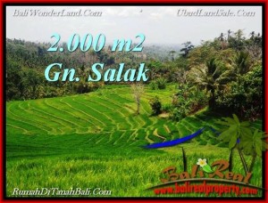 Affordable LAND IN Tabanan Selemadeg BALI FOR SALE TJTB220