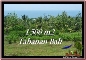 Magnificent LAND SALE IN Tabanan Selemadeg BALI TJTB234