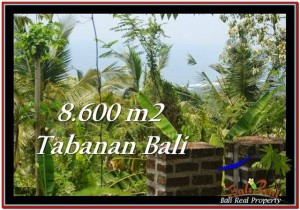 Magnificent 8,600 m2 LAND FOR SALE IN TABANAN BALI TJTB235