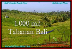 Exotic PROPERTY 1,000 m2 LAND SALE IN TABANAN BALI TJTB237