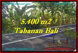 TABANAN 5,400 m2 LAND FOR SALE TJTB241