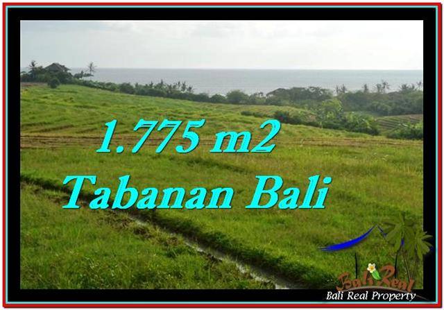 Exotic PROPERTY 1,775 m2 LAND SALE IN TABANAN BALI TJTB251