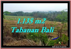 FOR SALE Affordable 1,135 m2 LAND IN TABANAN TJTB253