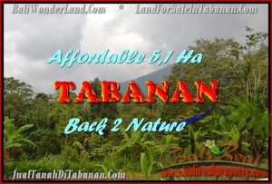 Exotic PROPERTY LAND SALE IN TABANAN TJTB166