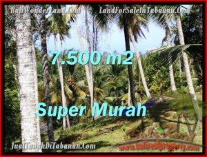 FOR SALE Beautiful 7,500 m2 LAND IN TABANAN BALI TJTB207