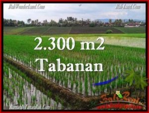 FOR SALE Exotic 2,400 m2 LAND IN TABANAN TJTB263