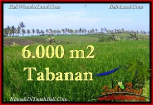 LAND FOR SALE IN Tabanan Selemadeg BALI TJTB267