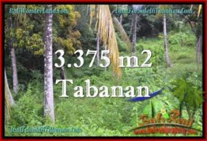 Affordable 3,775 m2 LAND SALE IN TABANAN TJTB271