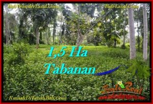 Beautiful 15,550 m2 LAND IN TABANAN BALI FOR SALE TJTB272
