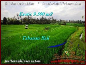 Beautiful PROPERTY 9,500 m2 LAND SALE IN Tabanan Selemadeg TJTB210