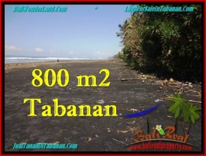Exotic PROPERTY 800 m2 LAND SALE IN TABANAN BALI TJTB260