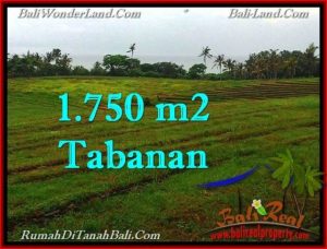 Beautiful 1,750 m2 LAND IN TABANAN BALI FOR SALE TJTB262