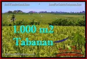 Beautiful PROPERTY 1,000 m2 LAND FOR SALE IN Tabanan Selemadeg TJTB266