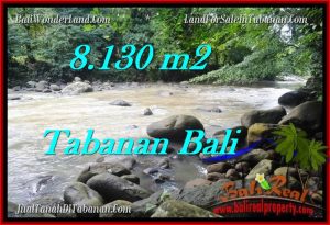 Magnificent 8,130 m2 LAND IN TABANAN BALI FOR SALE TJTB285