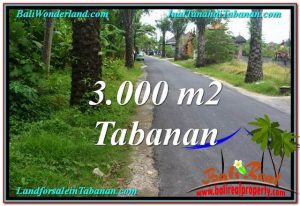 Magnificent LAND SALE IN Tabanan Kerambitan BALI TJTB297