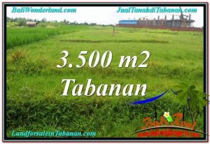 FOR SALE Magnificent PROPERTY 3,500 m2 LAND IN TABANAN BALI TJTB302