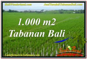 Beautiful PROPERTY TABANAN 1,000 m2 LAND FOR SALE TJTB307